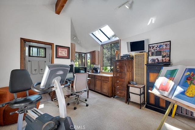 4315 Morro Dr, Woodland Hills, CA 91364 - office space with a skylight, light carpet, and track lighting