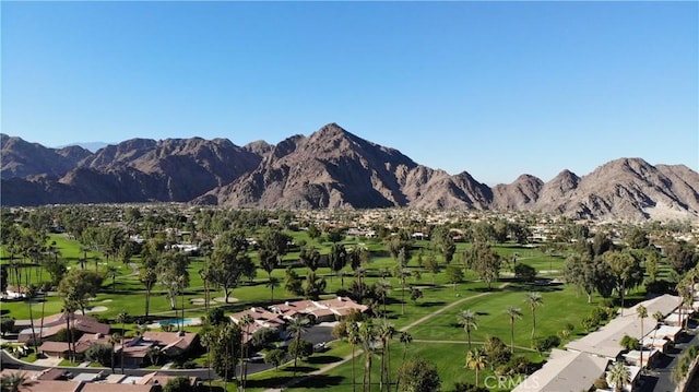 49171 Washington St, La Quinta, CA 92253 - photo 47