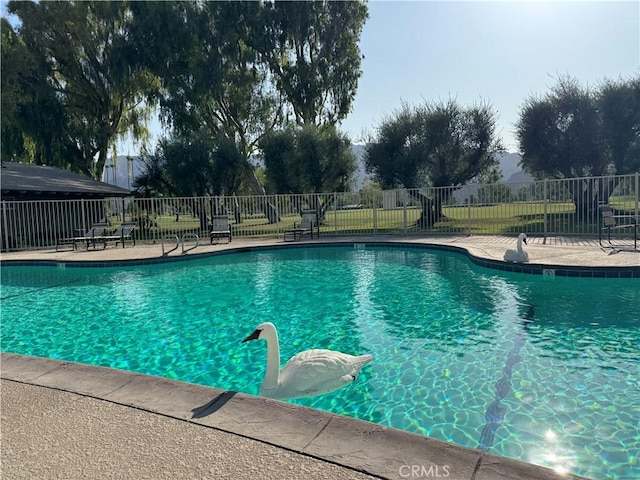 49171 Washington St, La Quinta, CA 92253 - photo 43
