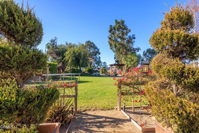 13045 Ripple Creek Ln, Camarillo, CA 93012 - view of green lawn featuring a vegetable garden