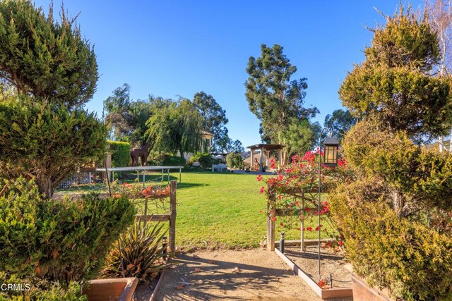 13045 Ripple Creek Ln, Camarillo, CA 93012 - view of grassy yard with a vegetable garden
