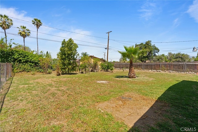 764 N Meridian Ave, Rialto, CA 92376 - view of yard