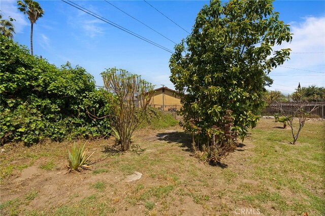764 N Meridian Ave, Rialto, CA 92376 - view of yard