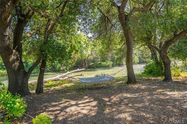 8510 Verdant Ct, Los Molinos, CA 96055 - view of grassy yard