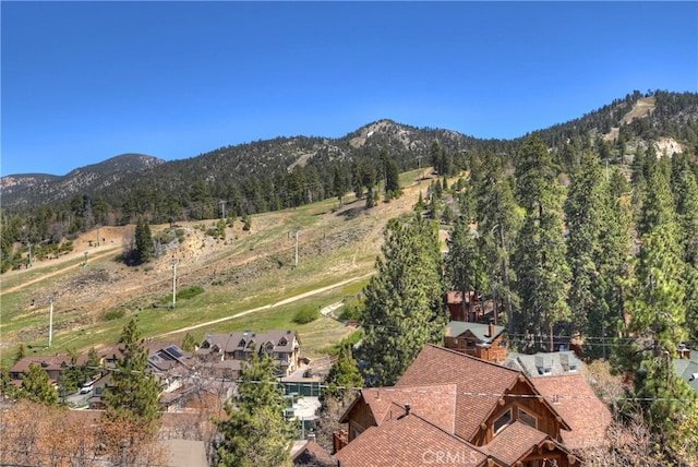 1362 Balsam Dr, Big Bear Lake, CA 92315 - photo 12