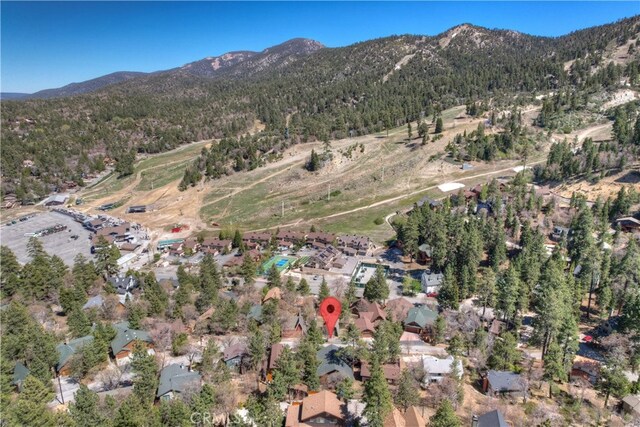 1362 Balsam Dr, Big Bear Lake, CA 92315 - photo 45
