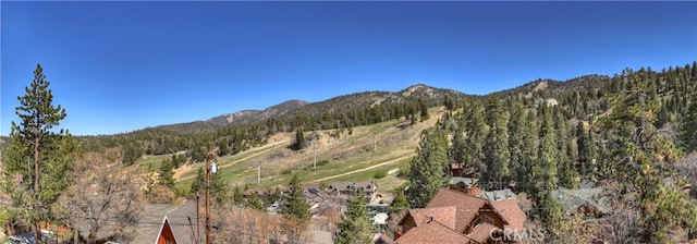 1362 Balsam Dr, Big Bear Lake, CA 92315 - photo 9