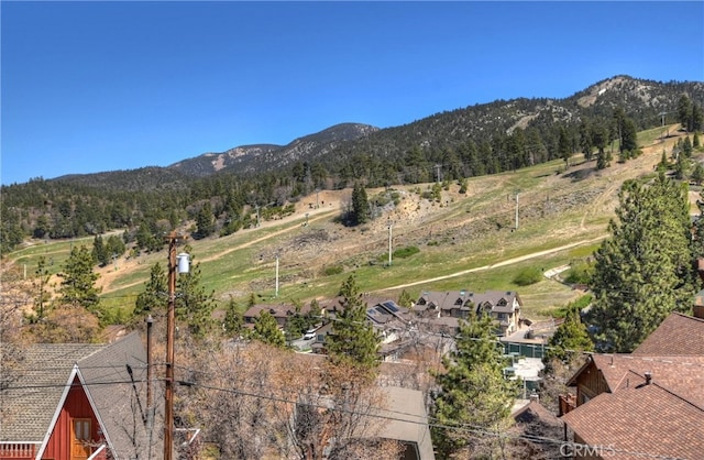 1362 Balsam Dr, Big Bear Lake, CA 92315 - photo 5