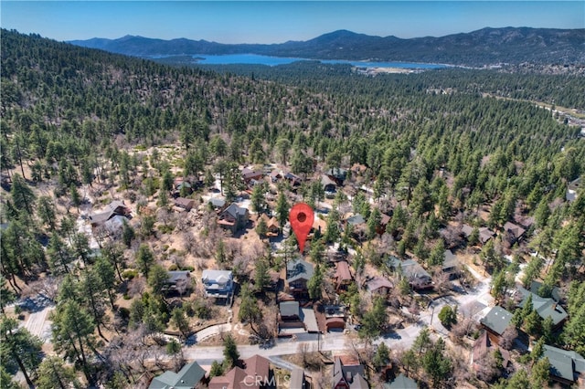 1362 Balsam Dr, Big Bear Lake, CA 92315 - photo 46