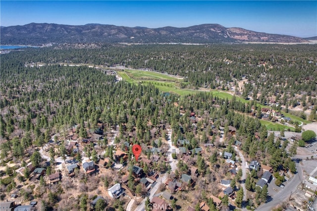 1362 Balsam Dr, Big Bear Lake, CA 92315 - photo 47