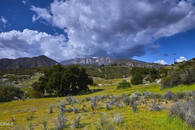 12179 Koenigstein Rd, Santa Paula, CA 93060 - view of mountain background