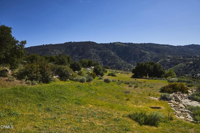 12179 Koenigstein Rd, Santa Paula, CA 93060 - view of mountain backdrop
