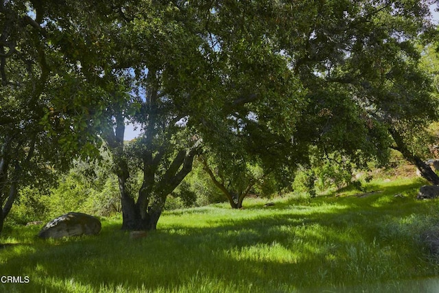 12179 Koenigstein Rd, Santa Paula, CA 93060 - view of undeveloped land