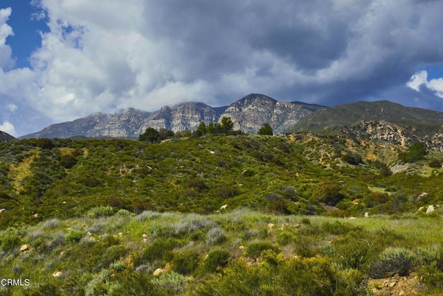 12179 Koenigstein Rd, Santa Paula, CA 93060 - view of mountain background