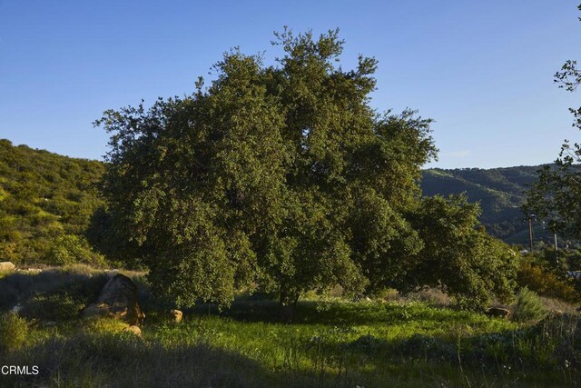 12179 Koenigstein Rd, Santa Paula, CA 93060 - photo 9
