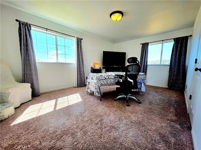 39560 S Lilley Way, Coarsegold, CA 93614 - office space with carpet, plenty of natural light, and baseboards