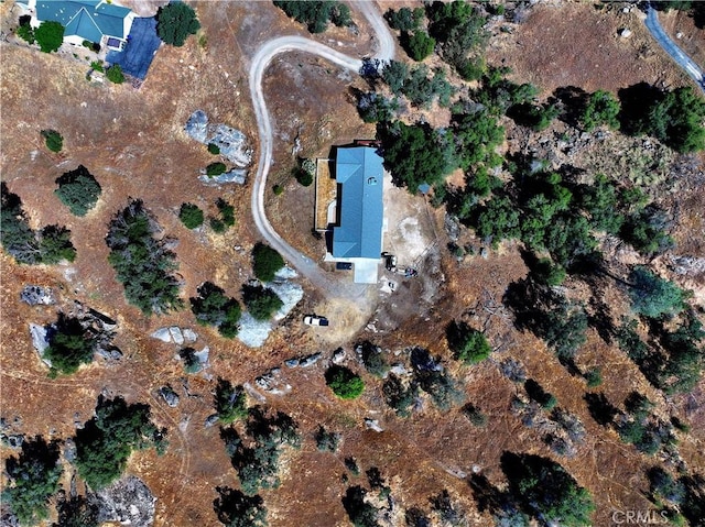 39560 S Lilley Way, Coarsegold, CA 93614 - aerial overview of property's location