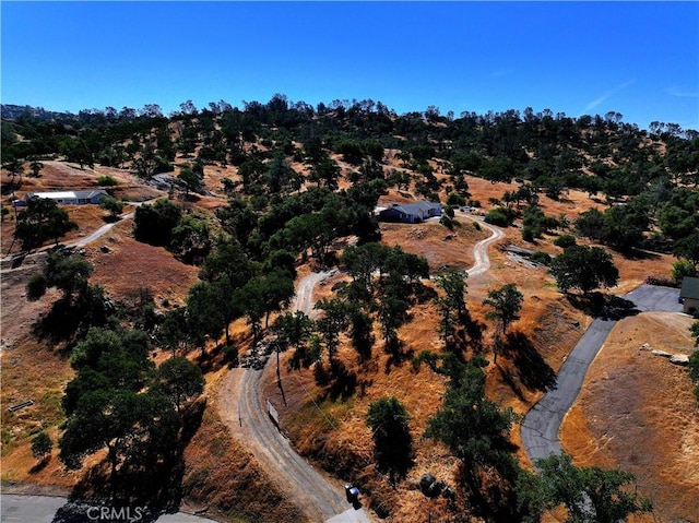 39560 S Lilley Way, Coarsegold, CA 93614 - aerial overview of property's location