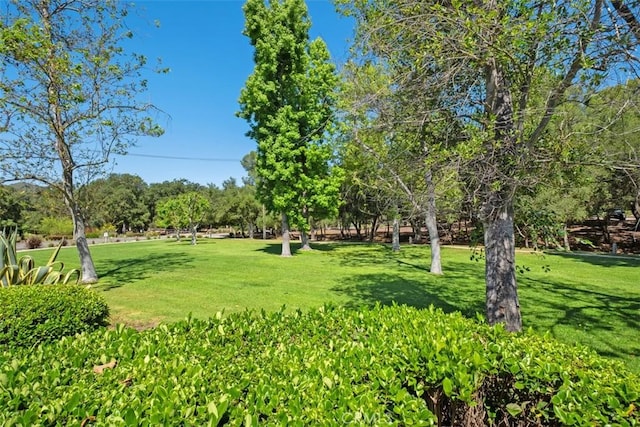 31531 Via Conejo Unit 153, Coto De Caza, CA 92679 - view of home's community with a yard and view of scattered trees