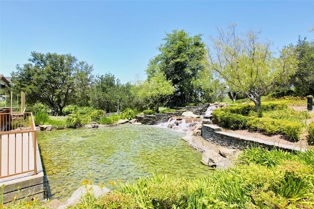 31531 Via Conejo Unit 153, Coto De Caza, CA 92679 - view of yard
