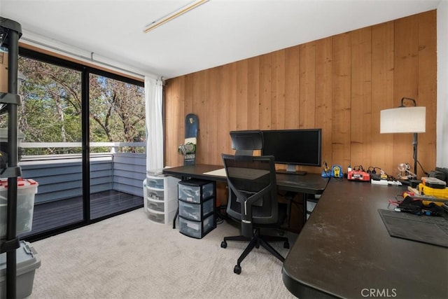 31531 Via Conejo Unit 153, Coto De Caza, CA 92679 - office with wood walls and carpet flooring