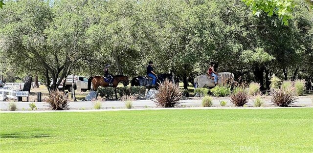 31531 Via Conejo Unit 153, Coto De Caza, CA 92679 - view of home's community featuring a lawn