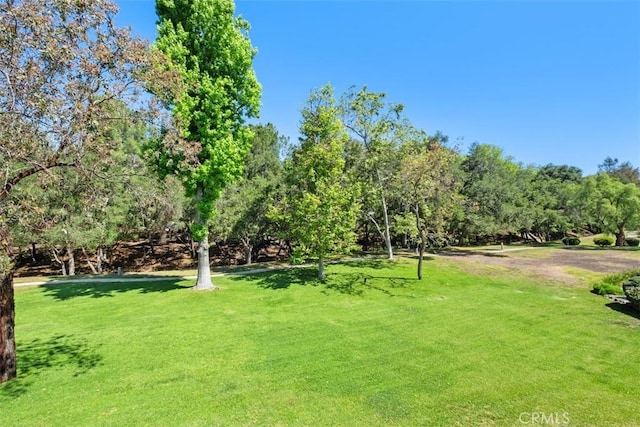 31531 Via Conejo Unit 153, Coto De Caza, CA 92679 - surrounding community featuring a yard and view of scattered trees