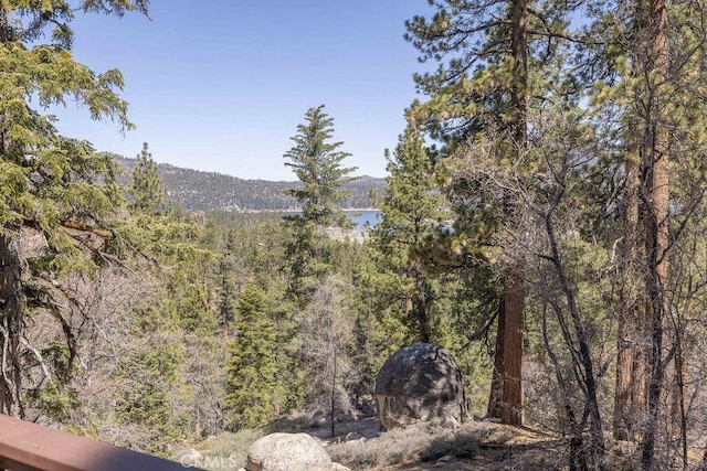 75 Metcalf Creek Trl, Big Bear Lake, CA 92315 - view of mountain backdrop with a heavily wooded area