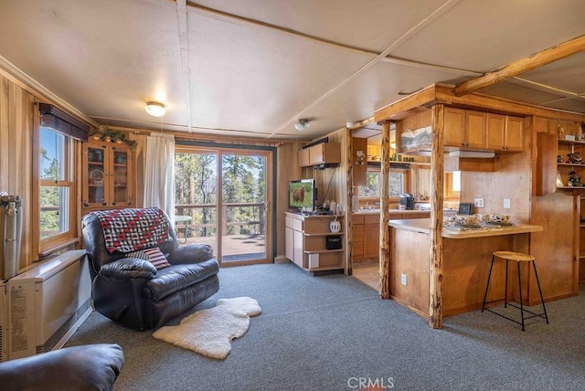 75 Metcalf Creek Trl, Big Bear Lake, CA 92315 - living area with light colored carpet and wood walls