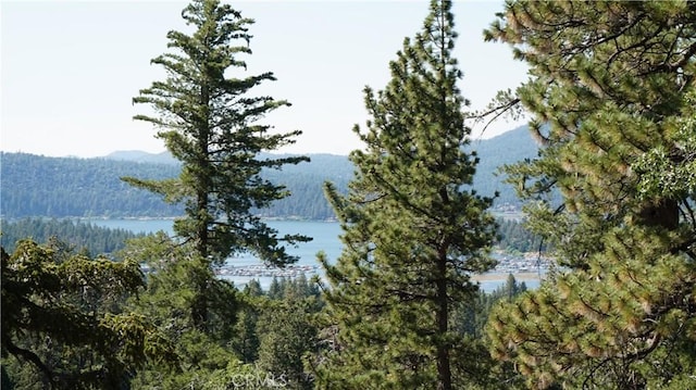 75 Metcalf Creek Trl, Big Bear Lake, CA 92315 - water view with a heavily wooded area