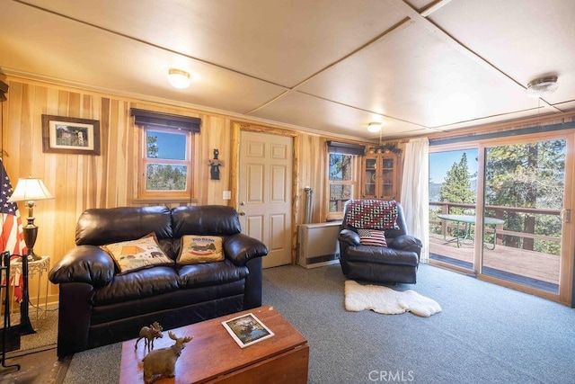 75 Metcalf Creek Trl, Big Bear Lake, CA 92315 - carpeted living area with plenty of natural light and wood walls