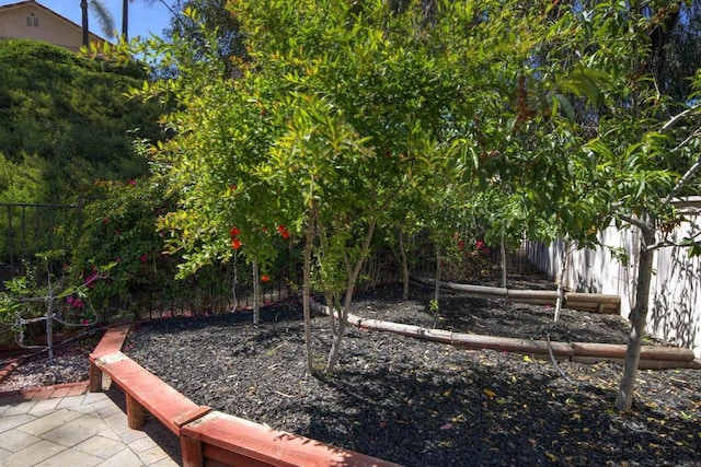 1688 Crystal Ridge Ct, Vista, CA 92081 - view of fenced backyard