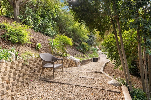3048 Street Of The Chimes, Chino Hills, CA 91709 - view of yard