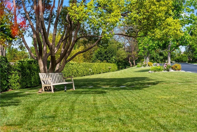 3048 Street Of The Chimes, Chino Hills, CA 91709 - view of grassy yard with view of scattered trees