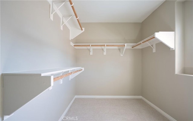 20267 Estuary Ln, Newport Beach, CA 92660 - spacious closet with carpet flooring