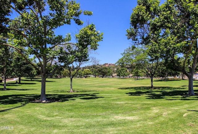 904 Calle Higuera, Camarillo, CA 93010 - view of home's community with a yard