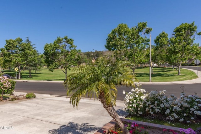 904 Calle Higuera, Camarillo, CA 93010 - view of home's community featuring a lawn