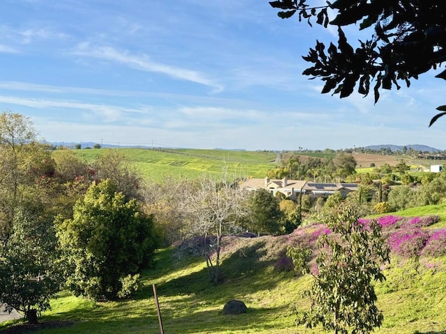 1650 Winterwarm Dr, Fallbrook, CA 92028 - view of yard featuring a rural view