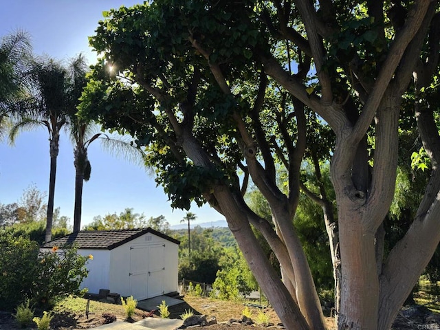 1650 Winterwarm Dr, Fallbrook, CA 92028 - view of yard