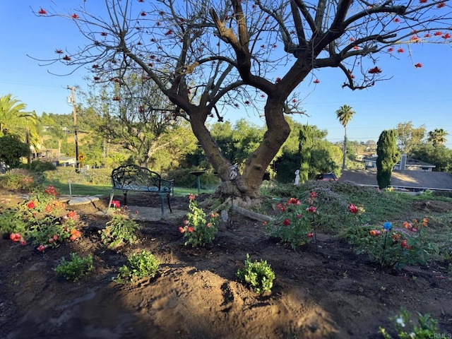 1650 Winterwarm Dr, Fallbrook, CA 92028 - view of yard