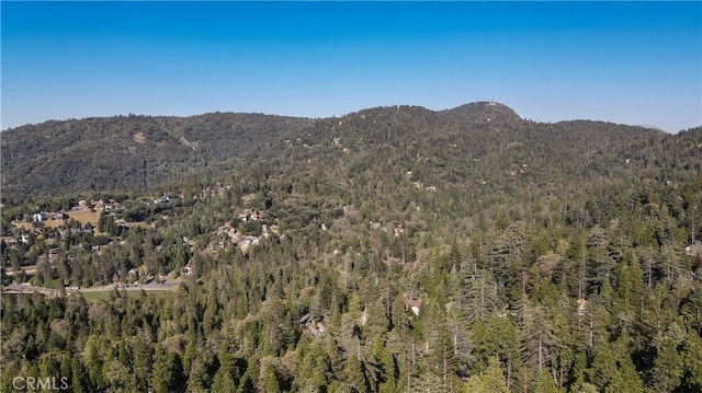 968 Lausanne Dr, Crestline, CA 92325 - view of mountain background with a heavily wooded area