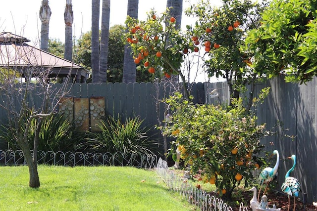 564 Larchwood Dr, San Marcos, CA 92069 - photo 46