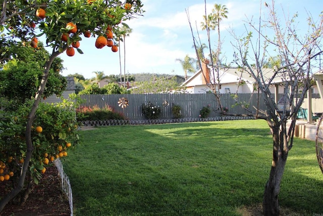 564 Larchwood Dr, San Marcos, CA 92069 - photo 49