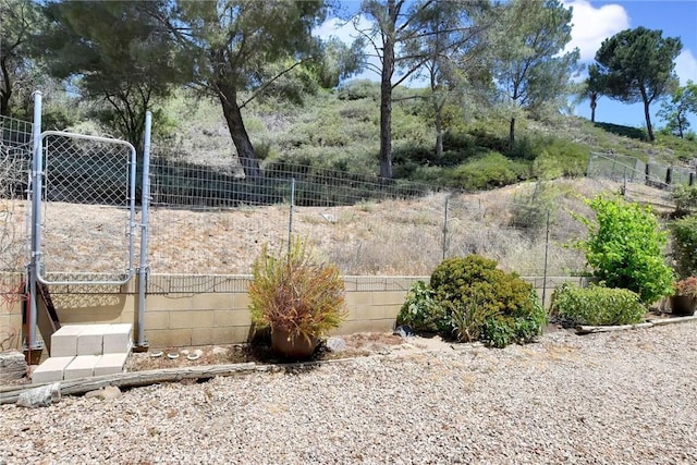 30124 Casa Chata Pl, Temecula, CA 92592 - view of yard