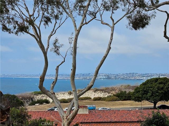 364 Via Almar, Palos Verdes Estates, CA 90274 - photo 4