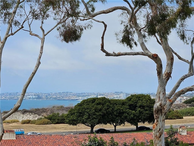 364 Via Almar, Palos Verdes Estates, CA 90274 - photo 5