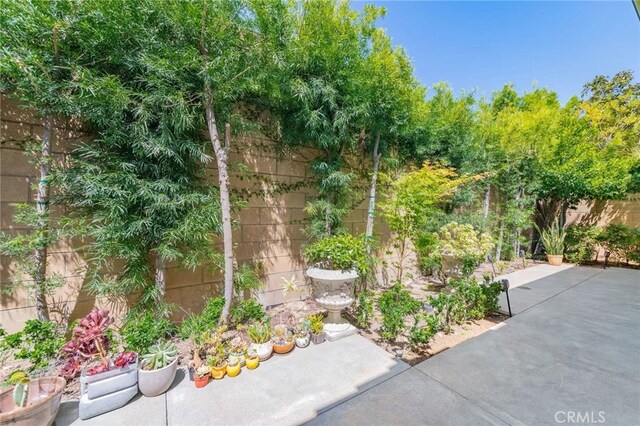 43 Lupari, Irvine, CA 92618 - fenced backyard featuring a patio