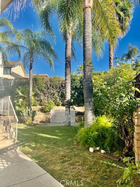 30417 Golden Gate Dr, Canyon Lake, CA 92587 - view of green lawn