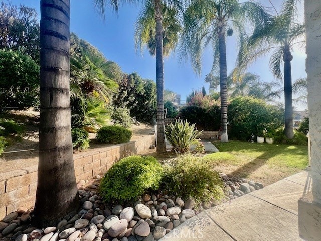 30417 Golden Gate Dr, Canyon Lake, CA 92587 - view of community