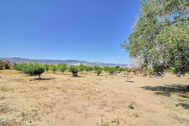 10424 Santa Fe Fire Rd, Lucerne Valley, CA 92356 - photo 40